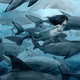 Illustration for article titled Stunning Paintings Of Mermaids Inspired By Real Underwater Life (NSFW)